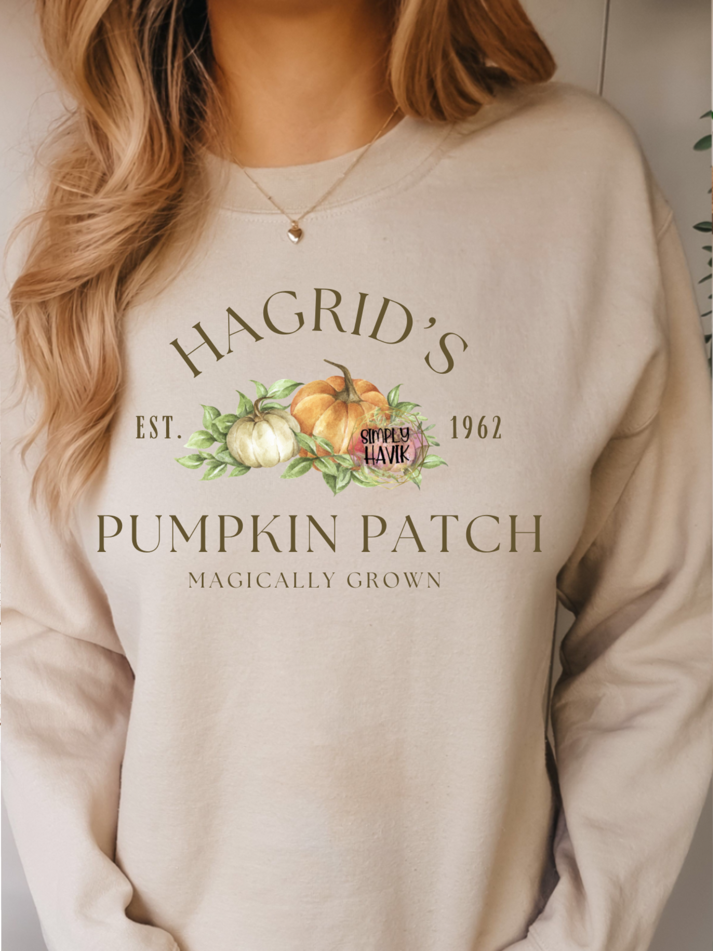 Magic Pumpkin Patch