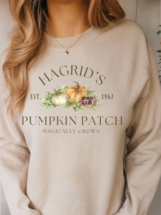 Magic Pumpkin Patch